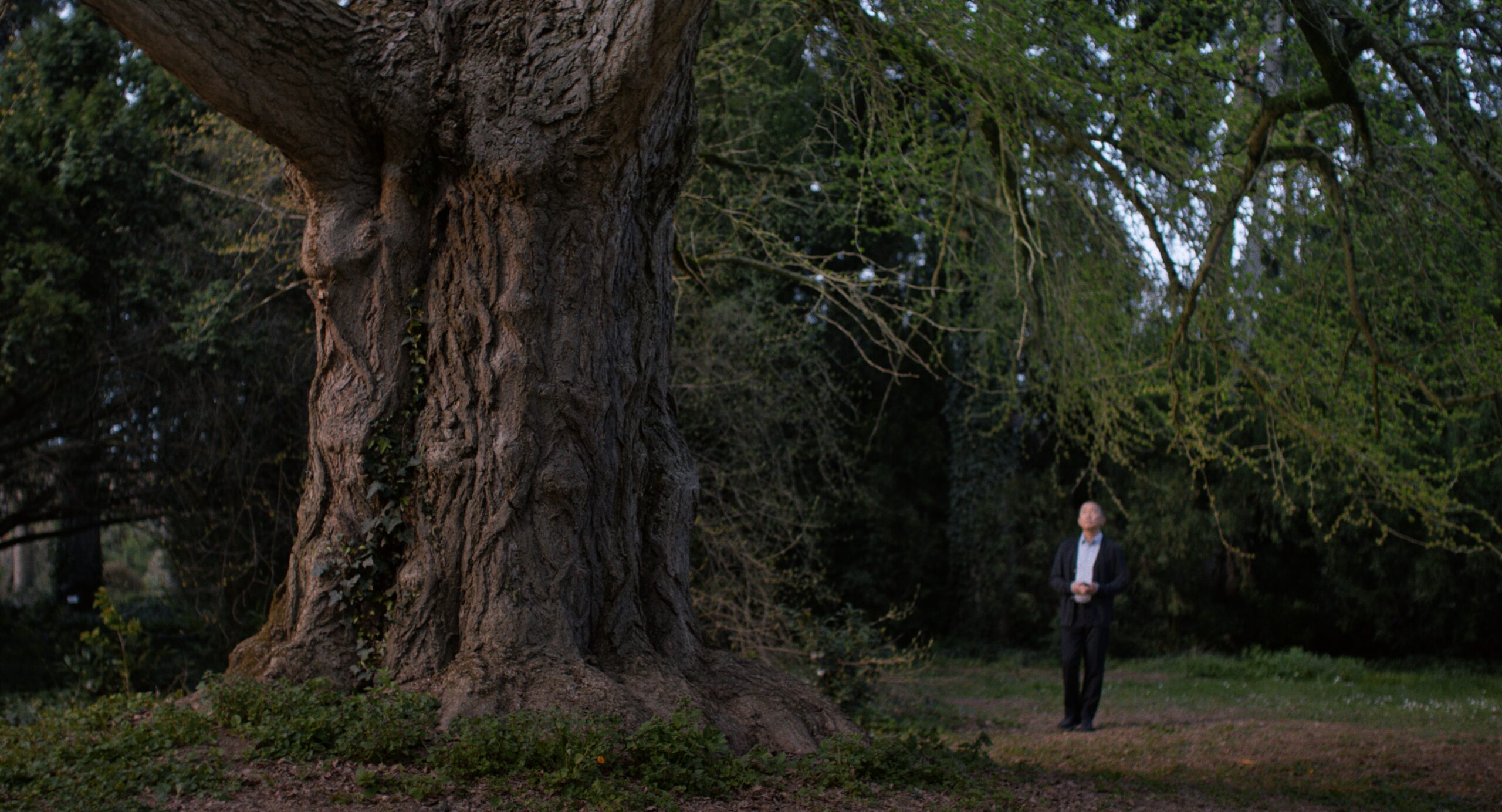 „SILENT FRIEND“ Filmkritik: Eine Ode an die Schönheit der Wissenschaft